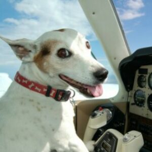 Profile photo of Julie Ison